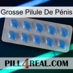 Grosse Pilule De Pénis 22